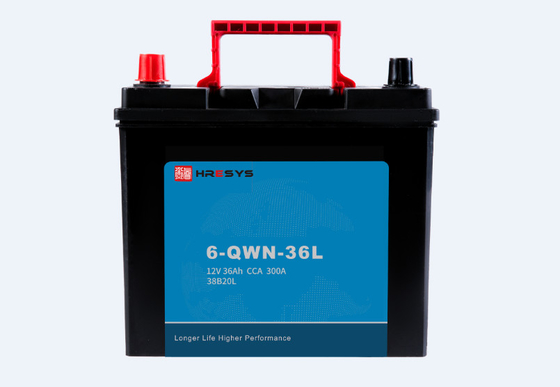 Ciclo profondo di SLI che inizia liberamente manutenzione della batteria 6-QWN-36L 9,9 chilogrammi